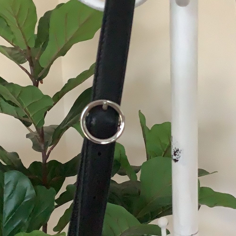 Coach Black Crossbody 🖤🖤🖤 - Picture 3 of 9